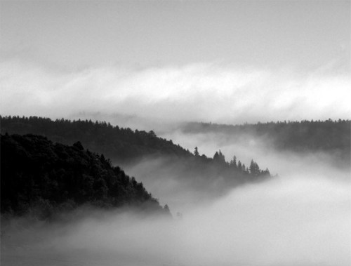 fog-photography-long-exposure.jpg